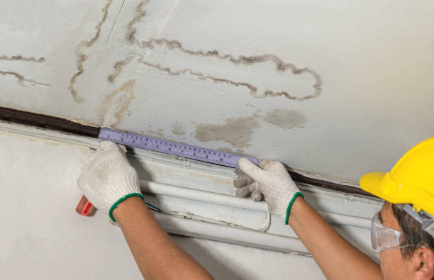 Reliable Mold Remediation contractor in Blanchard, OK by Water Damage Irwin